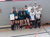 Landesentscheid im Volleyball WK III am 31.01.2019 in Idar-Oberstein